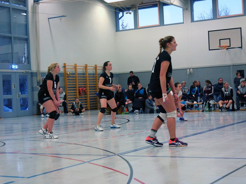 Volleyball Heimspieltag Damen 11.02.2017